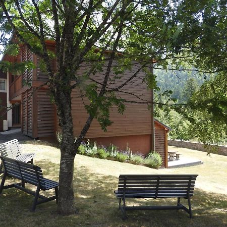 Le Lioran Studio Les Myrtilles A 200M Des Pistes Exteriör bild