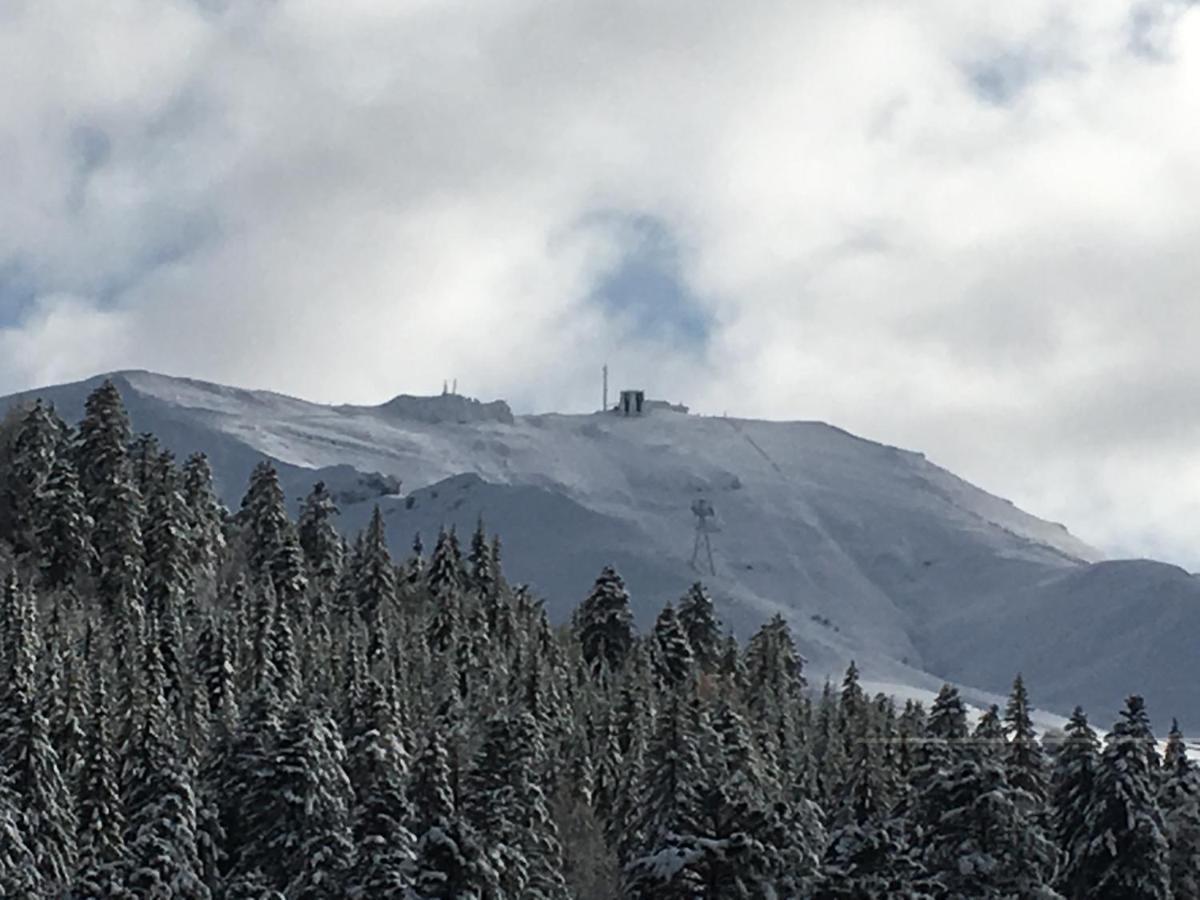 Le Lioran Studio Les Myrtilles A 200M Des Pistes Exteriör bild