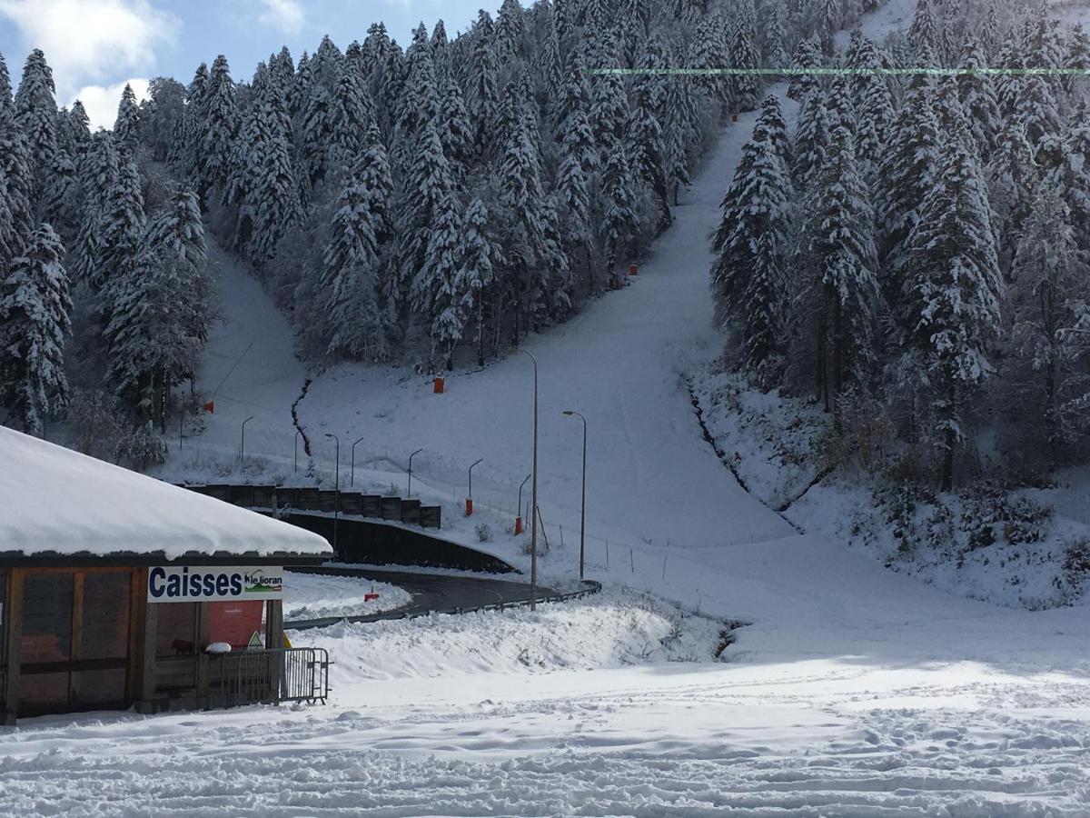 Le Lioran Studio Les Myrtilles A 200M Des Pistes Exteriör bild