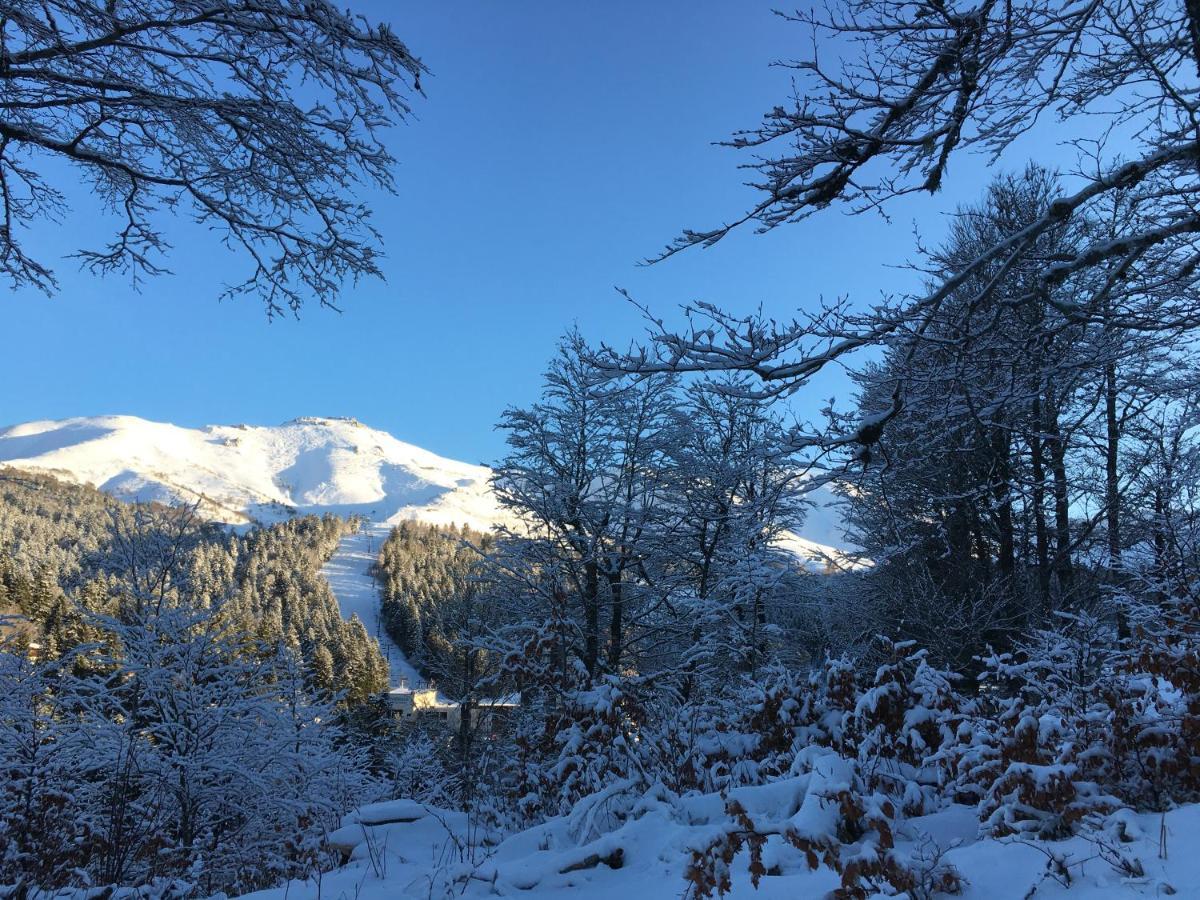 Le Lioran Studio Les Myrtilles A 200M Des Pistes Exteriör bild