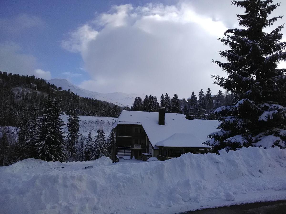 Le Lioran Studio Les Myrtilles A 200M Des Pistes Exteriör bild